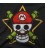 MARIO PIRATE PLUMBER
