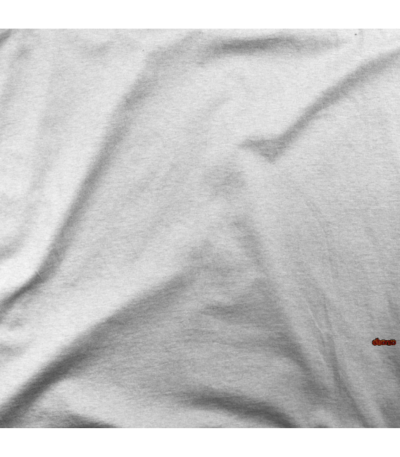 COMPUTER IN VACATION