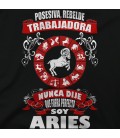 Soy Aries chica