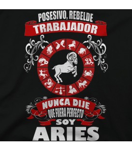 Soy Aries chico