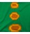 Tentáculo verde