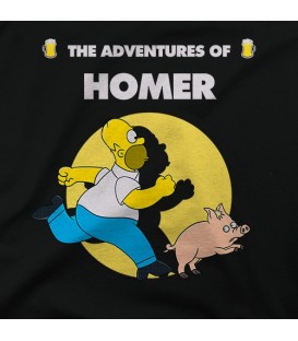 The adventures of Homer