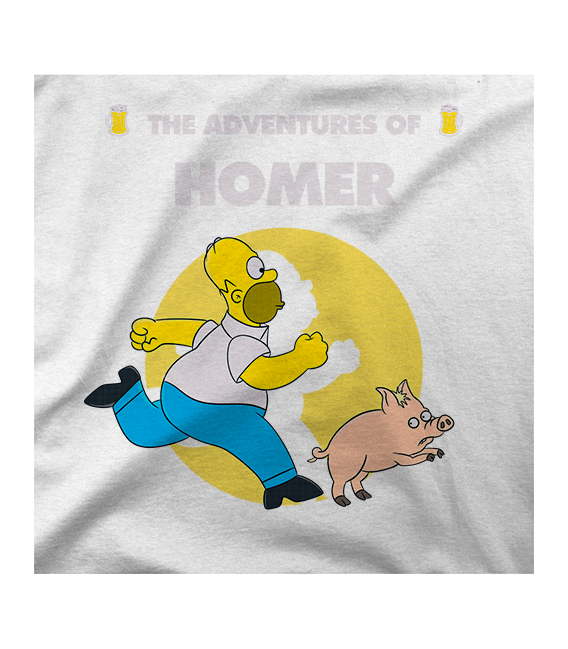 The adventures of Homer